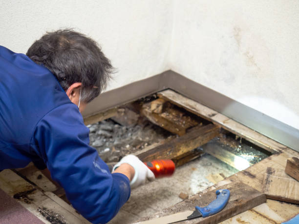 Water Damage Restoration in Erie, IL
