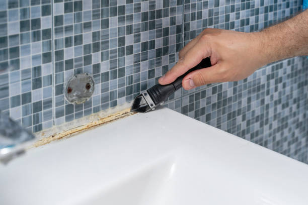 Best Attic Mold Removal  in Erie, IL